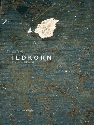 cover image of Ildkorn